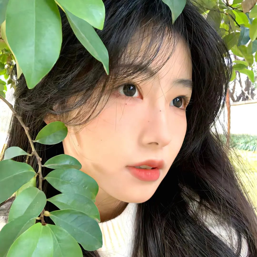 千年狐